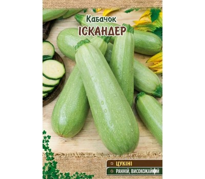 Кабачки ИСКАНДЕР F1