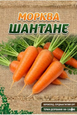 ШАНТАНЕ