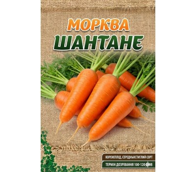 Морковь ШАНТАНЕ