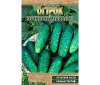 БОЧКОВОЙ ЗАСОЛ