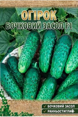 БОЧКОВОЙ ЗАСОЛ