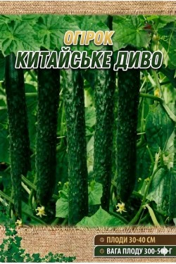 КИТАЙСКОЕ ЧУДО
