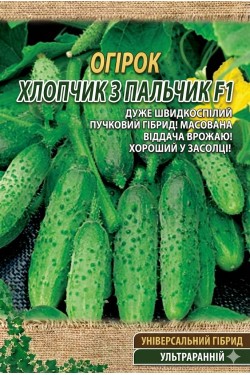 МАЛЬЧИК С ПАЛЬЧИК