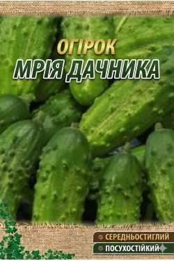 МЕЧТА ДАЧНИКА F1