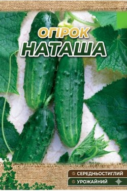 НАТАША F1