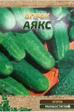 АЯКС F1