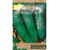 ФЕНИКС 640