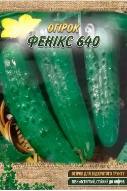 ФЕНИКС 640