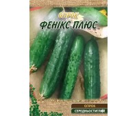 ФЕНИКС +