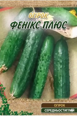 ФЕНИКС +