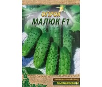 МАЛЫШ
