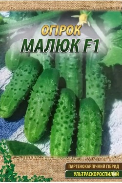 МАЛЫШ