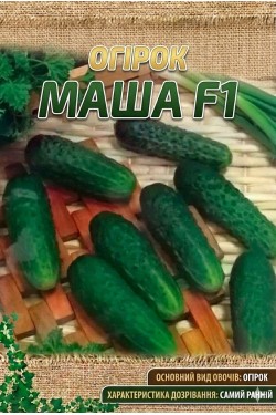 МАША F1