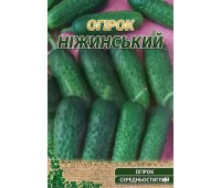 НЕЖИНСКИЙ