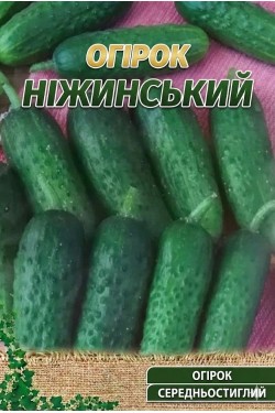 НЕЖИНСКИЙ