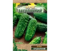 ЗАСОЛОЧНЫЙ