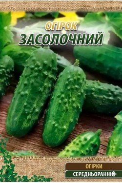 ЗАСОЛОЧНЫЙ