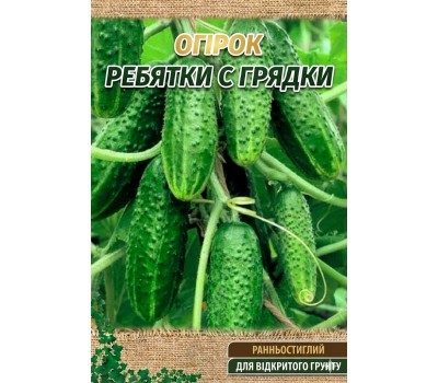 Огурцы РЕБЯТКИ С ГРЯДКИ