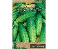 РОДНИЧЕК