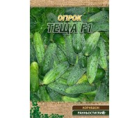 ТЕЩА F1