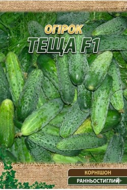 ТЕЩА F1