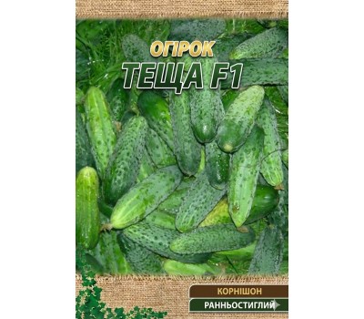 Огурцы ТЕЩА F1