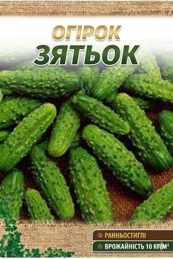 ЗЯТЕК F1