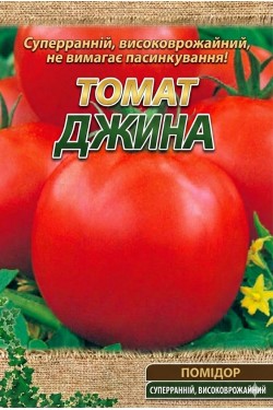 ДЖИНА