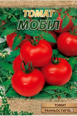 МОБИЛ (низк)