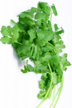 САЛАТ КИНЗА (кориандр)