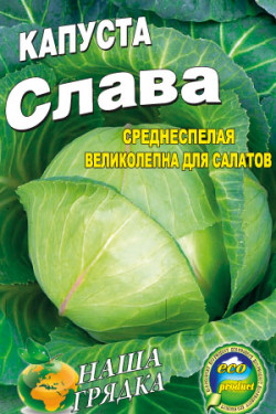 СЛАВА