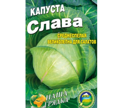 Капуста СЛАВА