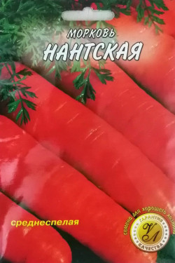 НАНТСКАЯ