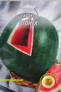 ОГОНЕК