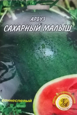 САХАРНЫЙ МАЛЫШЬ