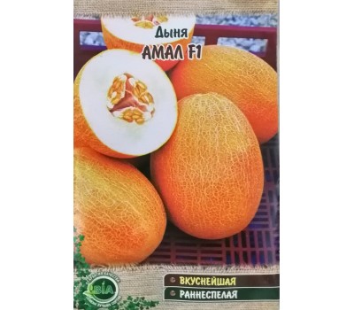 Дыня АМАЛ F1
