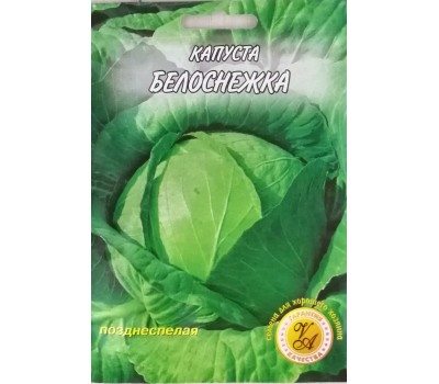 Капуста БЕЛОСНЕЖКА