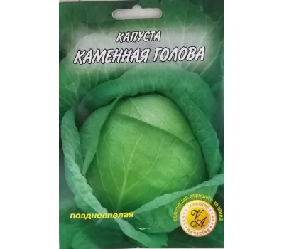 Капуста КАМЕННАЯ ГОЛОВА