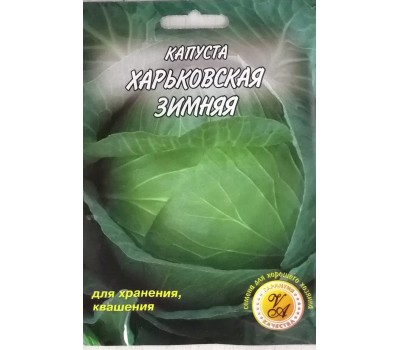 Капуста ХАРЬКОВСКАЯ ЗИМНЯЯ