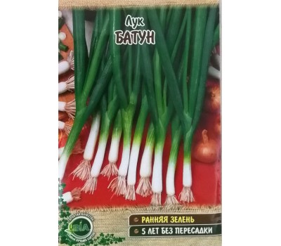 Лук БАТУН