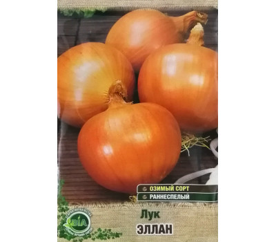 Лук ЭЛЛАН