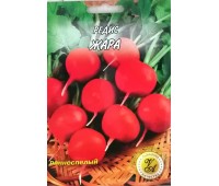 ЖАРА