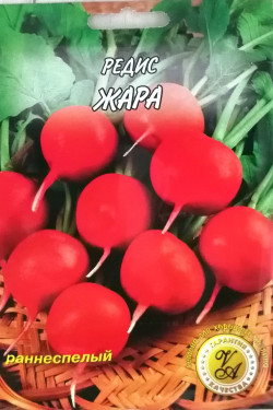 ЖАРА