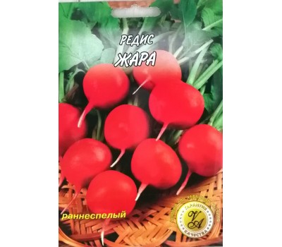 Редис ЖАРА