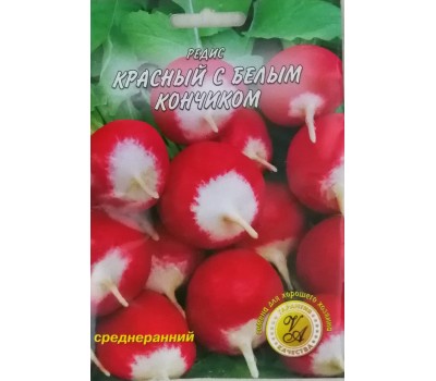 Редис КРАСНЫЙ С БЕЛЫМ КОНЧИКОМ