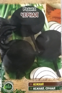 РЕДЬКА ЧЕРНАЯ