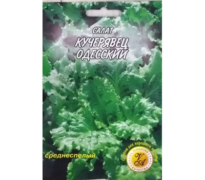 Зелень САЛАТ ОДЕССКИЙ КУЧЕРЯВЕЦ