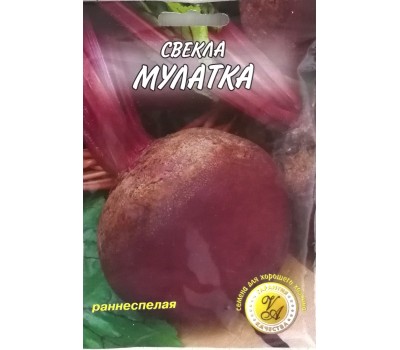 Свекла МУЛАТКА