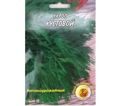 Зелень УКРОП КУСТОВОЙ
