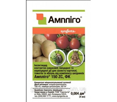 Амплиго